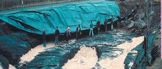 pond-building